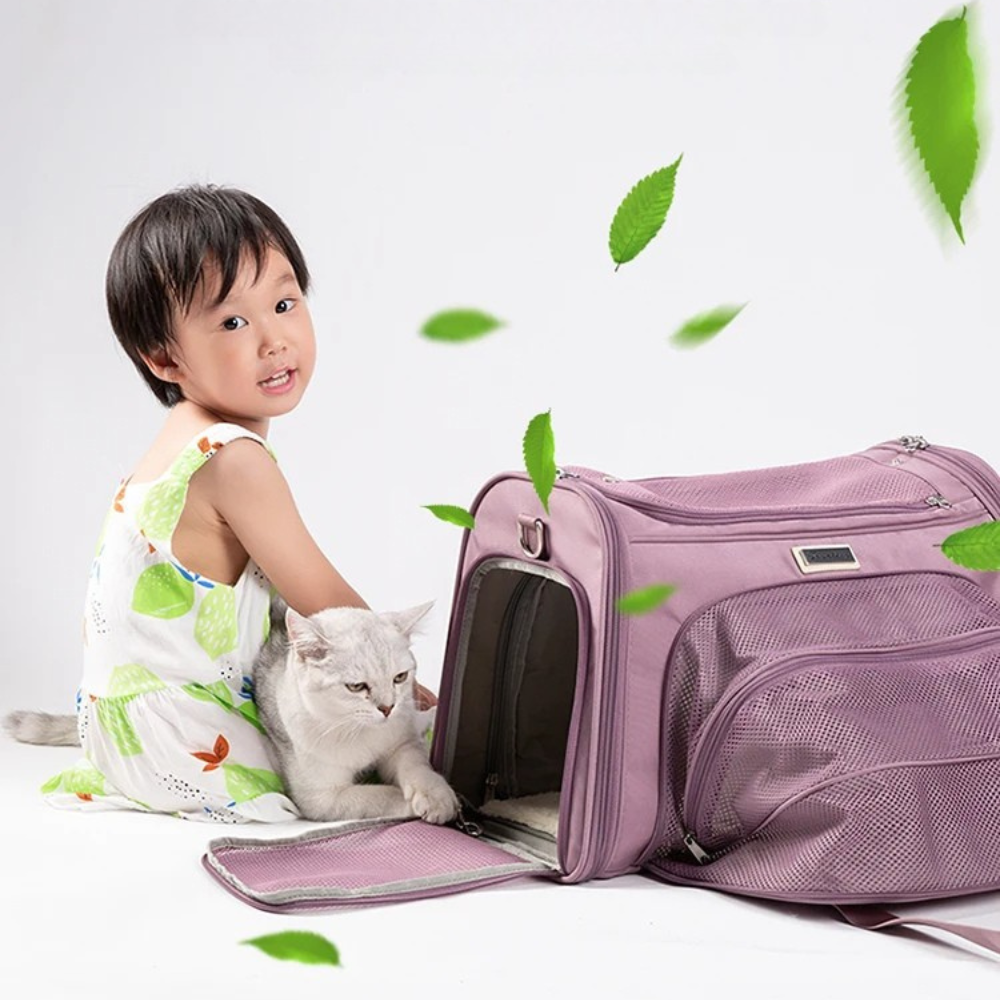 Sac à dos pliable en nylon pour animaux de compagnie