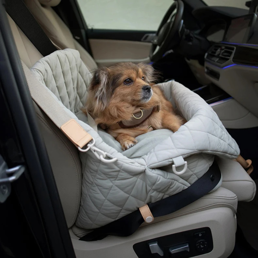 Sac de sécurité pour chien
