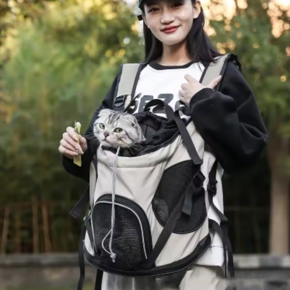 Sac de transport en toile pour chiots et chatons