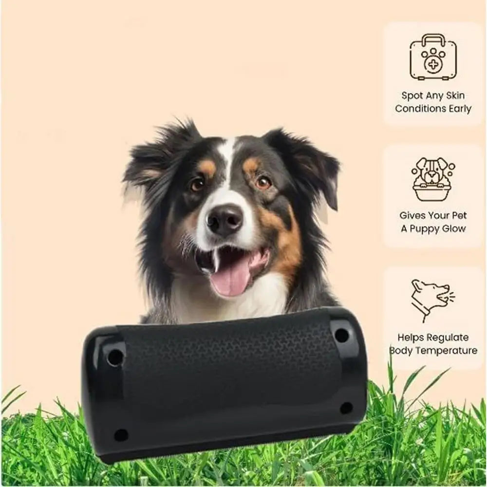 Brosse à épiler pour animaux de compagnie