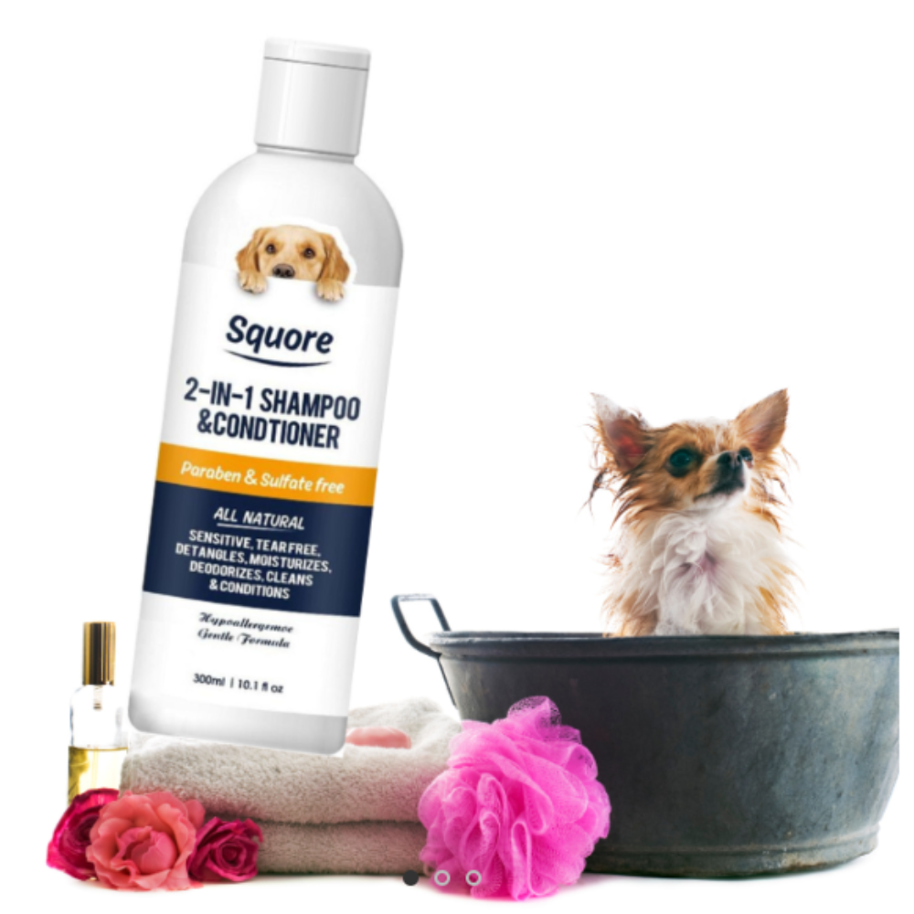 Shampooing et après-shampooing pour chiots