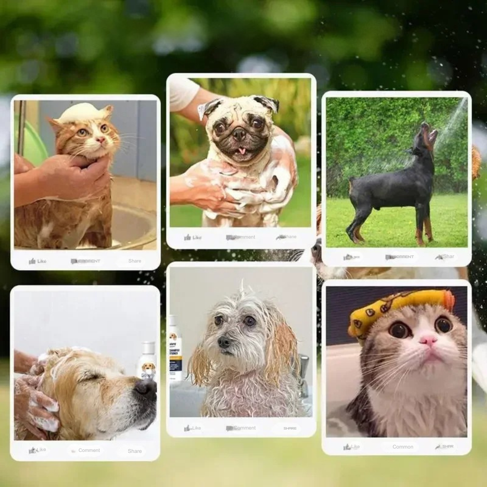 Shampooing et après-shampooing pour chiots