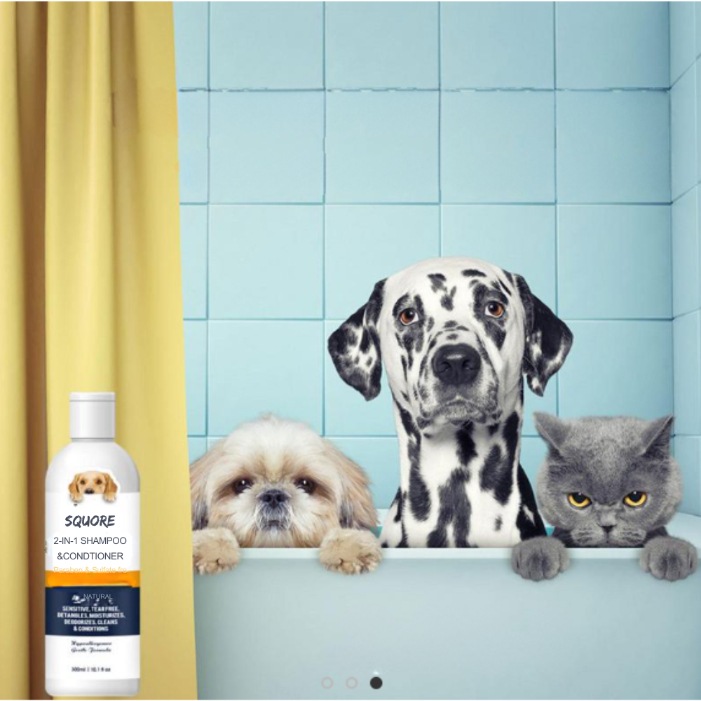 Shampooing et après-shampooing pour chiots