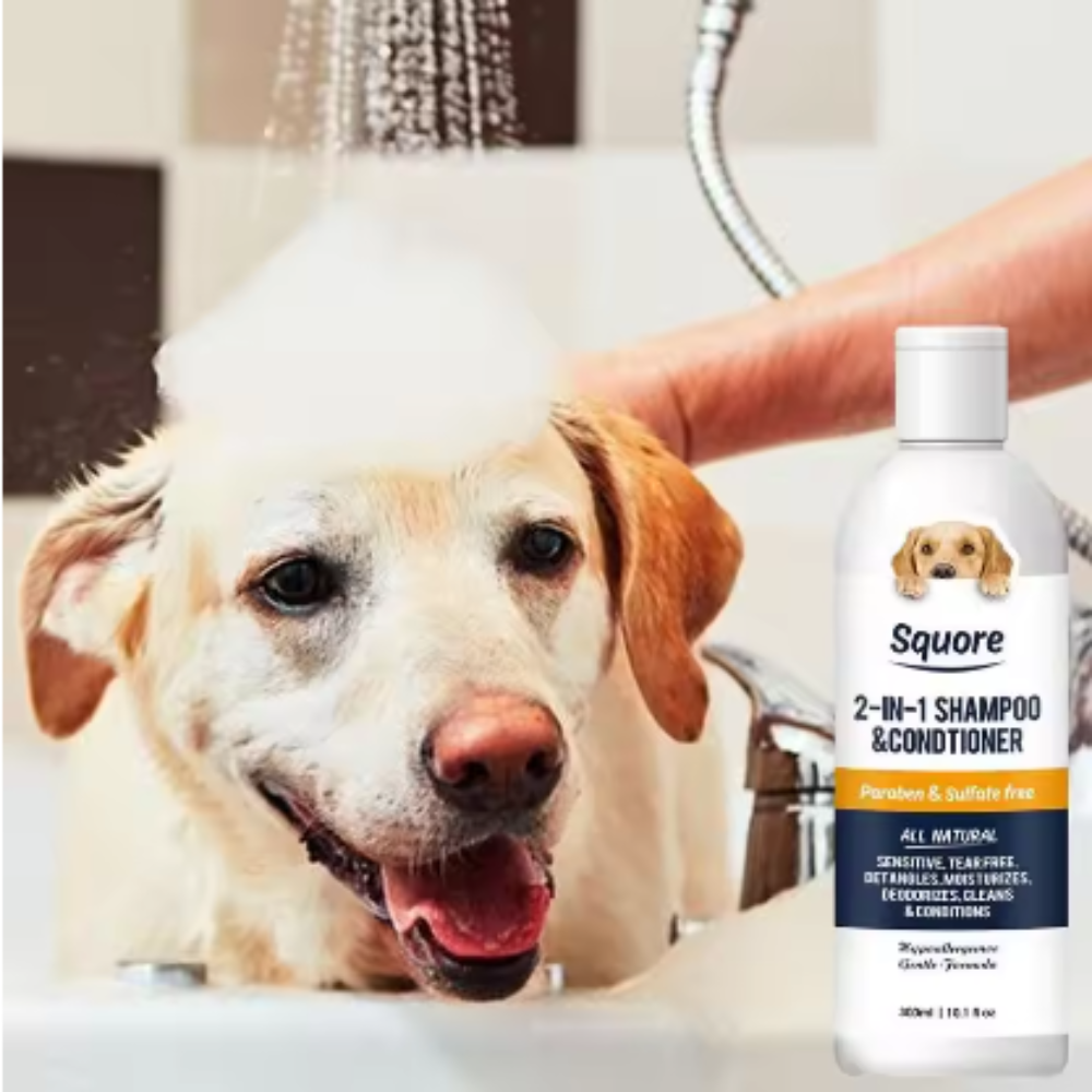 Shampooing et après-shampooing pour chiots