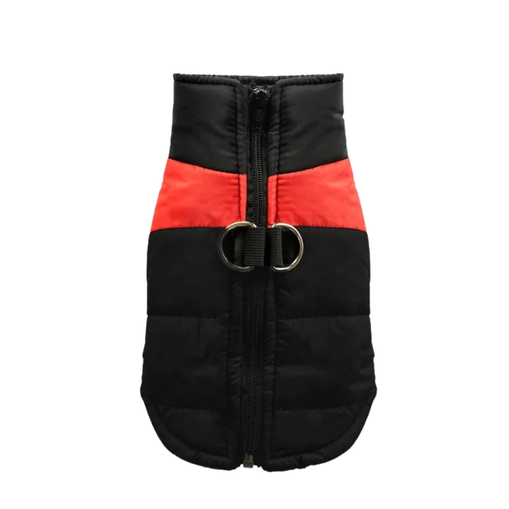 Veste chaude et matelassée pour chien
