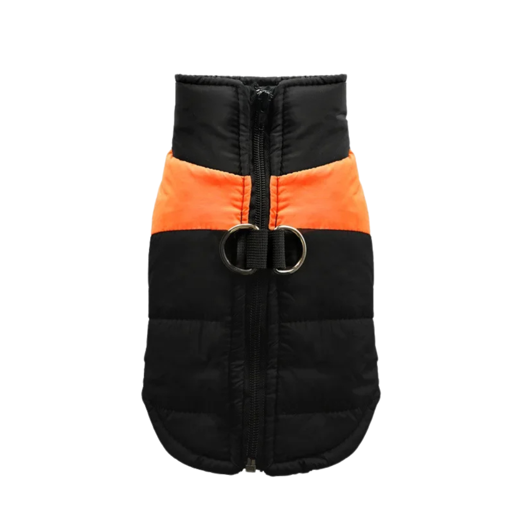 Veste chaude et matelassée pour chien