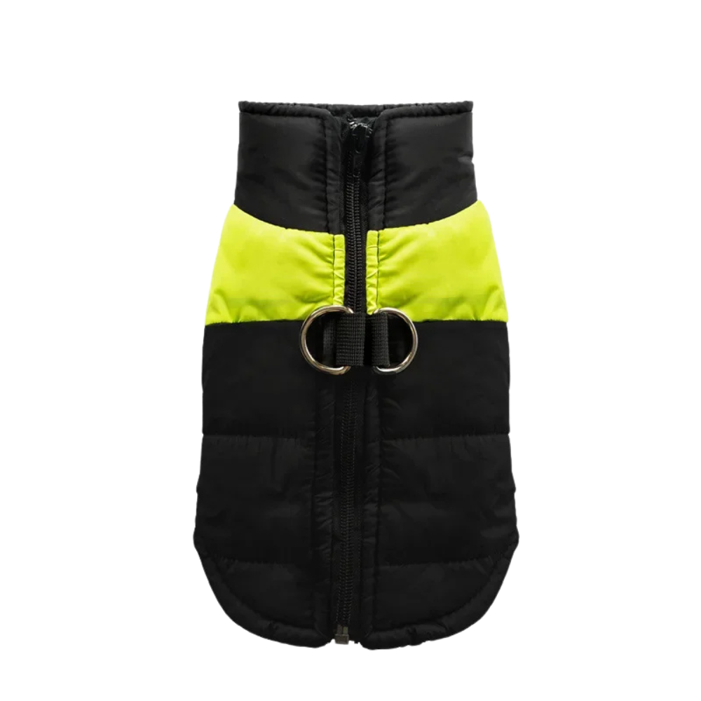 Veste chaude et matelassée pour chien