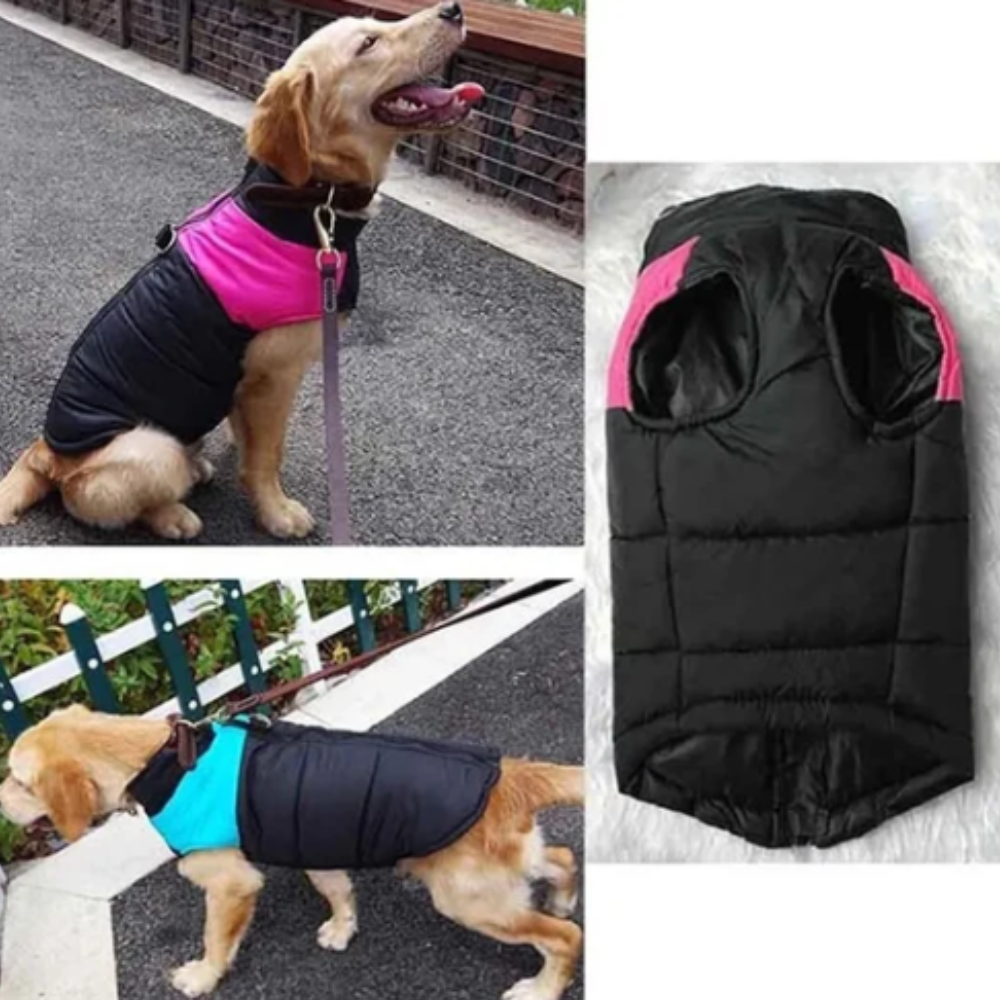 Veste chaude et matelassée pour chien