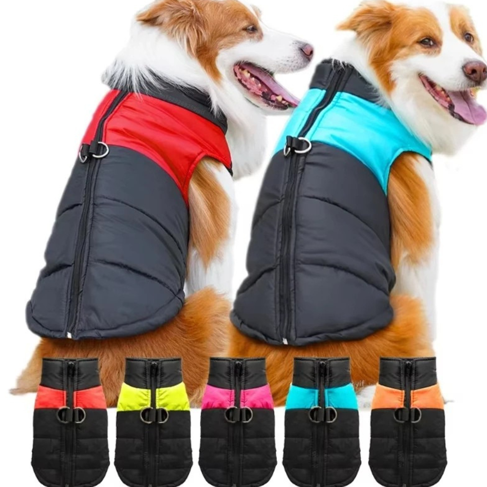 Veste chaude et matelassée pour chien