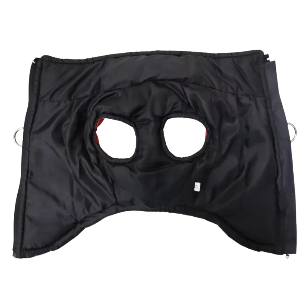 Veste chaude et matelassée pour chien