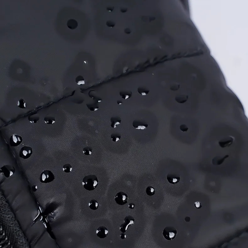 Veste chaude et matelassée pour chien