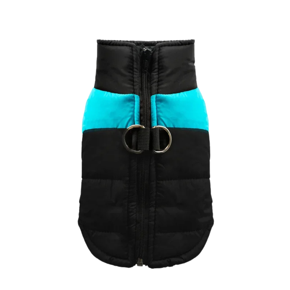 Veste chaude et matelassée pour chien