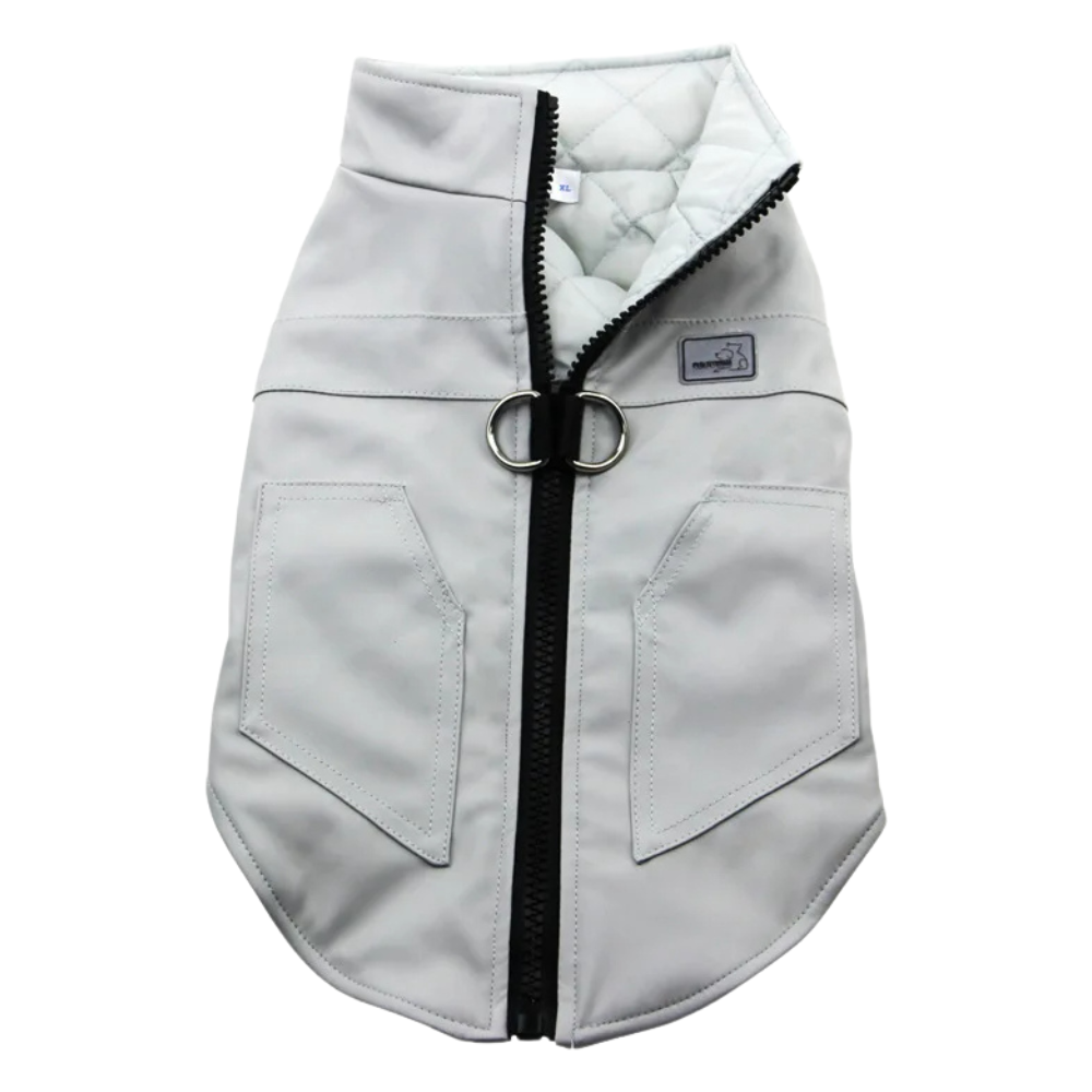 Veste imperméable pour chien