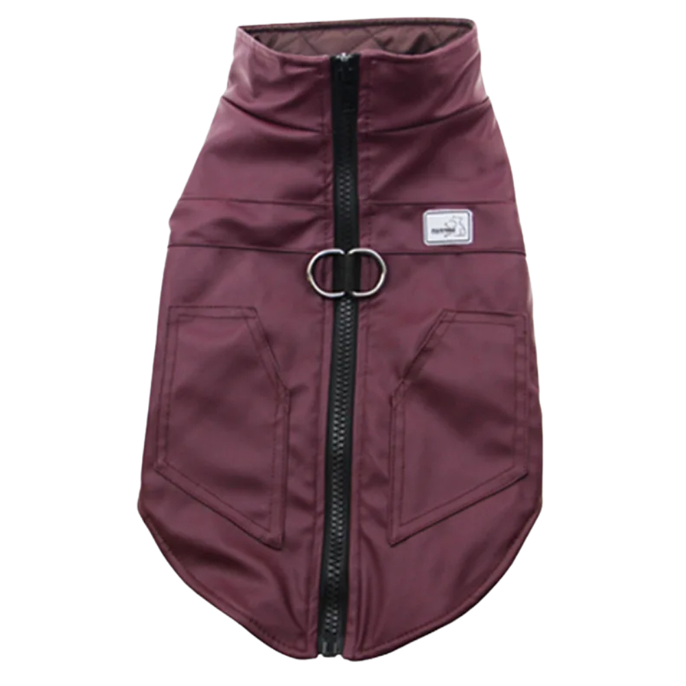 Veste imperméable pour chien
