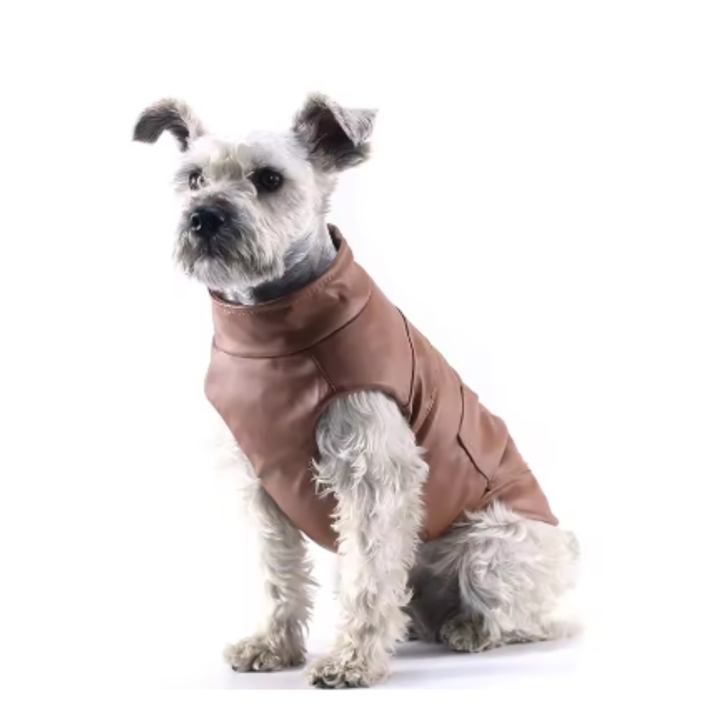 Veste imperméable pour chien