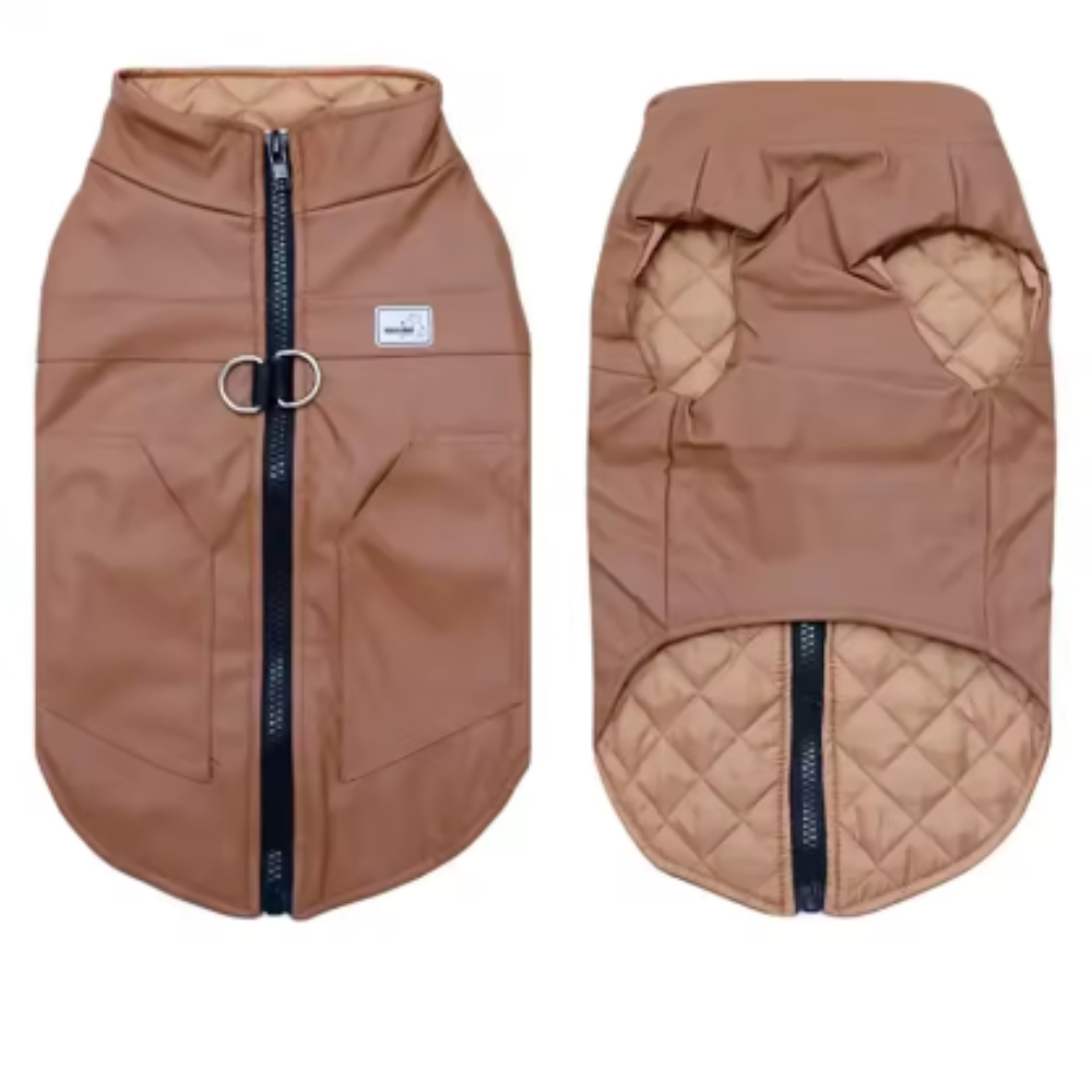 Veste imperméable pour chien