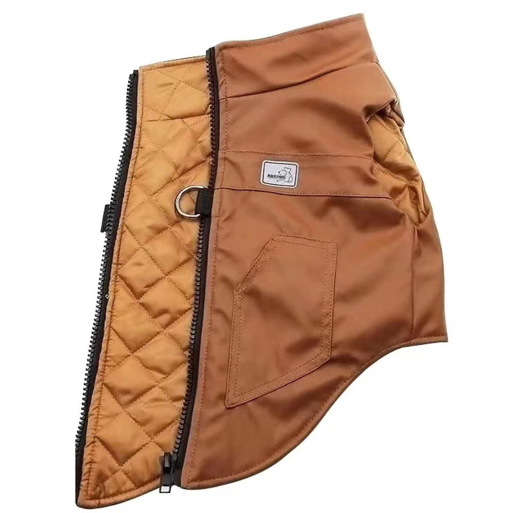 Veste imperméable pour chien