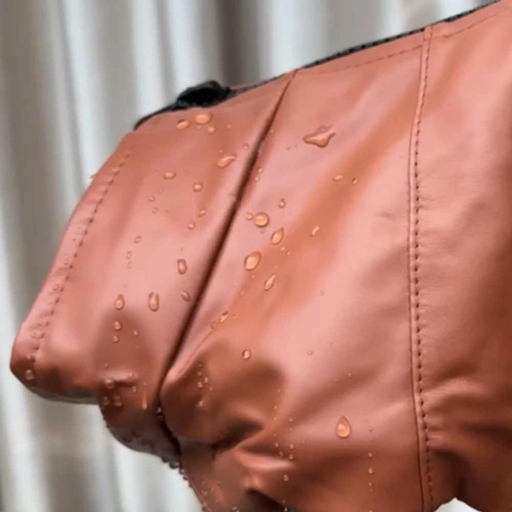 Veste imperméable pour chien