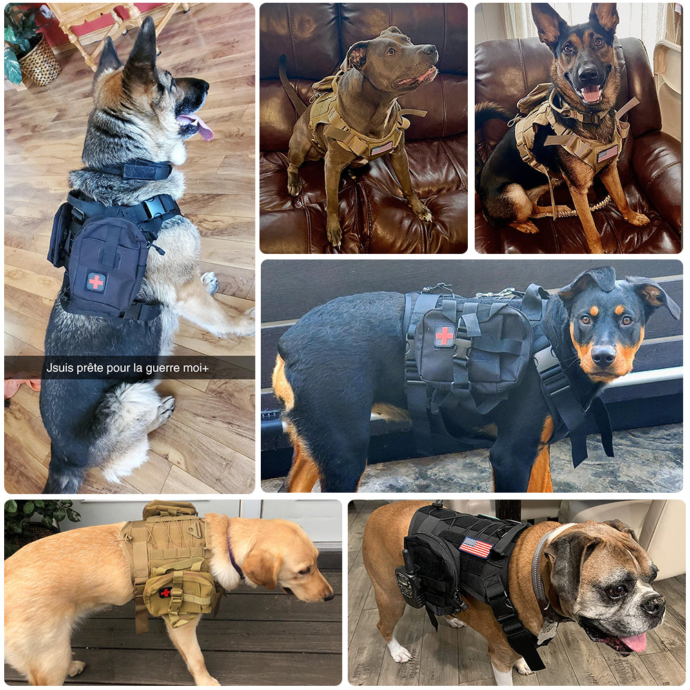 Ensemble Militaire - Harnais et Laisse pour Chien