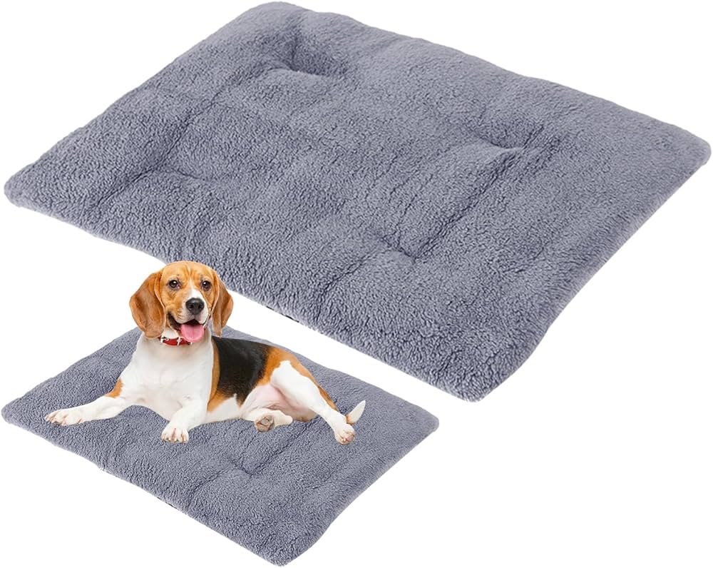 Les meilleurs coussins pour niche de chien