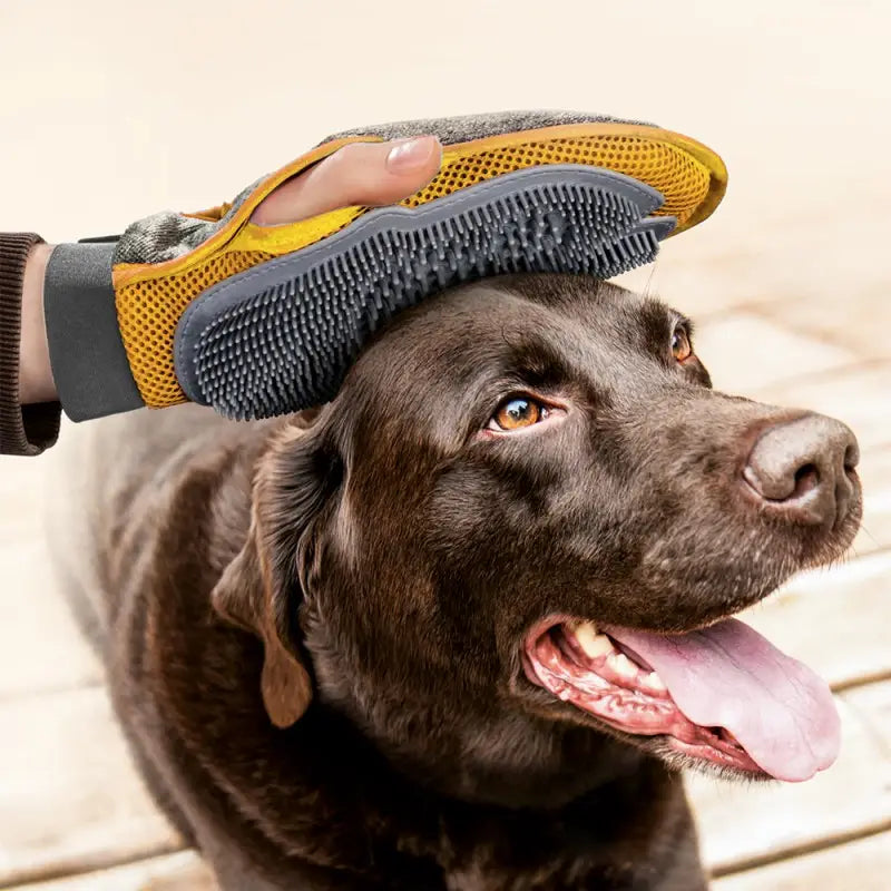 gant de toilettage pour chien