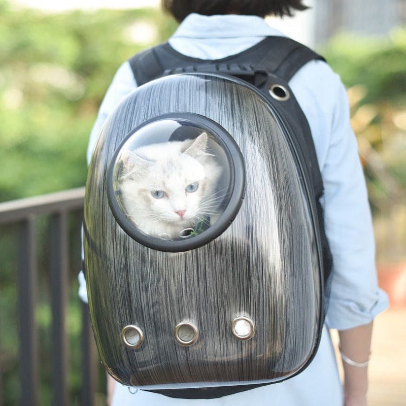 chat-sac-a-dos
