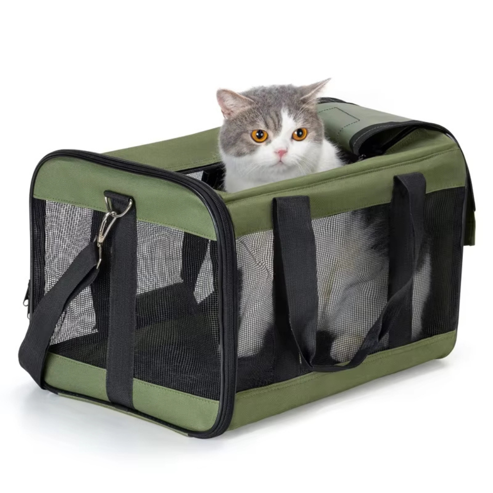 Sac de voyage compact et pliable pour chats et chiens