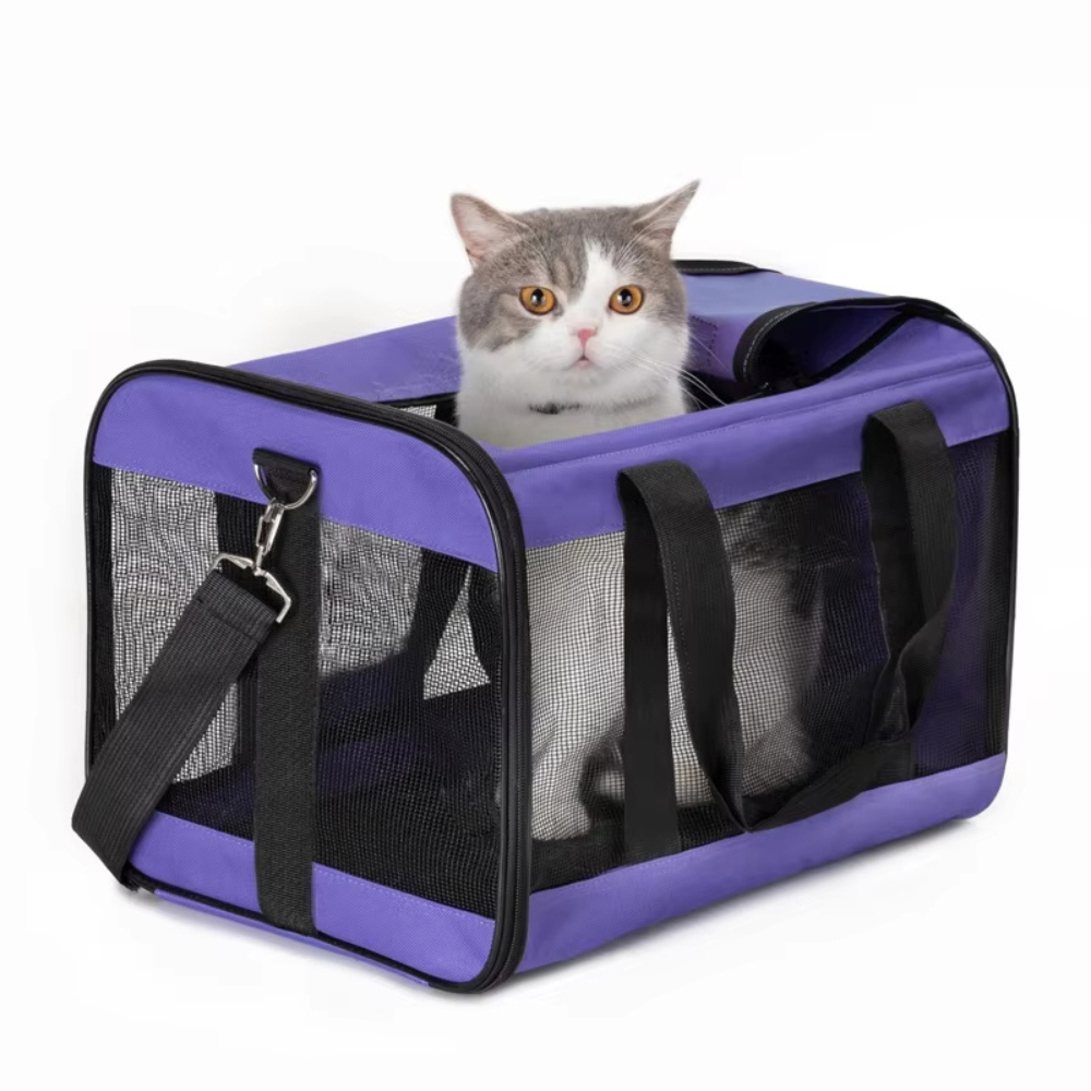 Sac de voyage compact et pliable pour chats et chiens