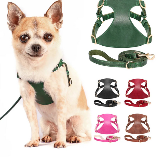 Harnais pour chien en cuir PU et Laisse