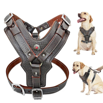 Harnais en cuir durable pour chien