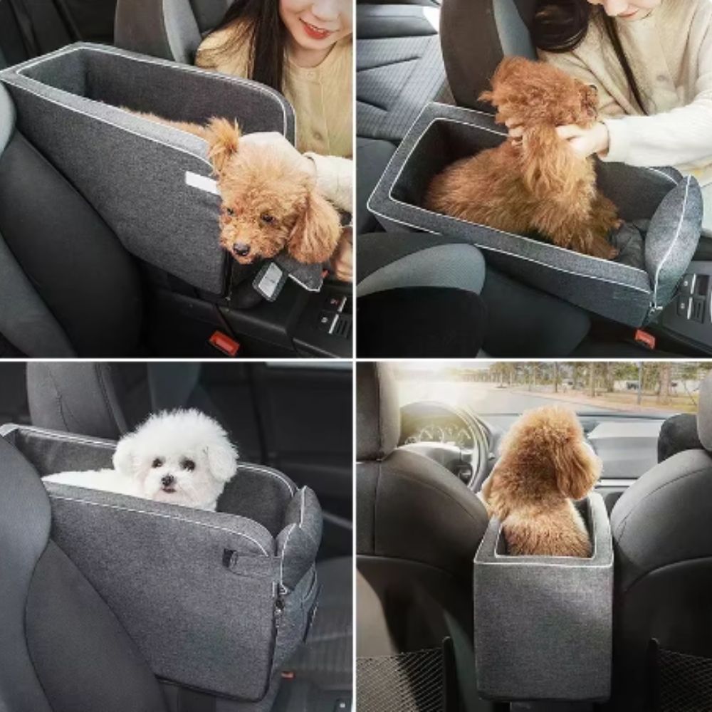 Sac de voyage pour chien