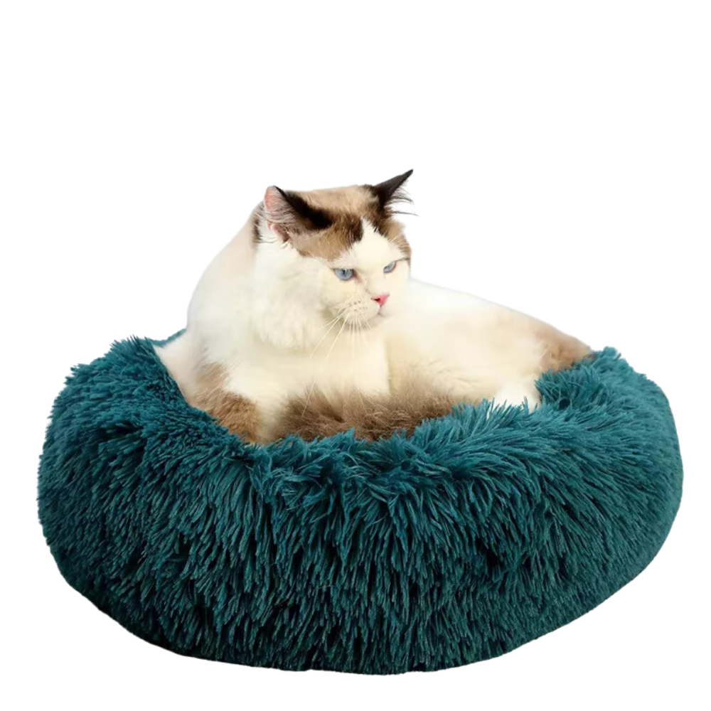 Tapis pour animaux de compagnie Dormir Sofa