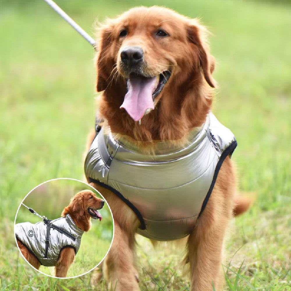 Veste chaude imperméable pour chien avec harnais