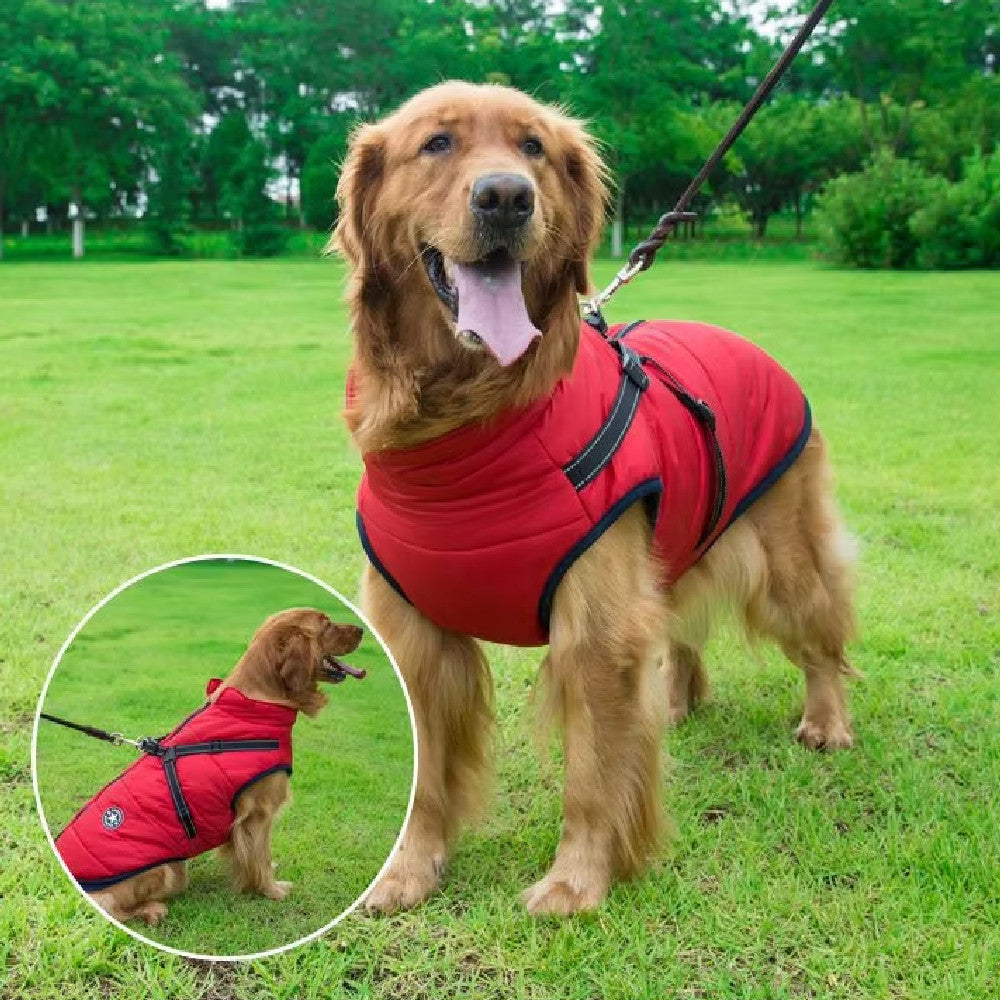 Veste chaude imperméable pour chien avec harnais