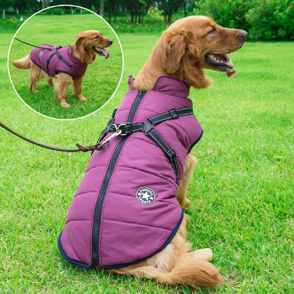 Veste chaude imperméable pour chien avec harnais