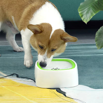 Bol à eau pour chien