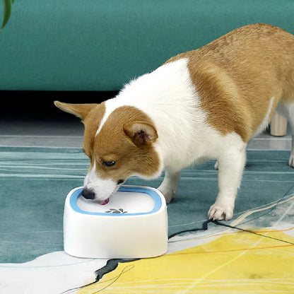 Bol à eau pour chien