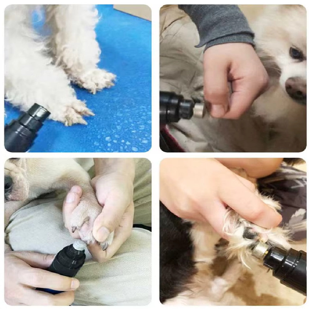 Coupe-ongles pour animaux