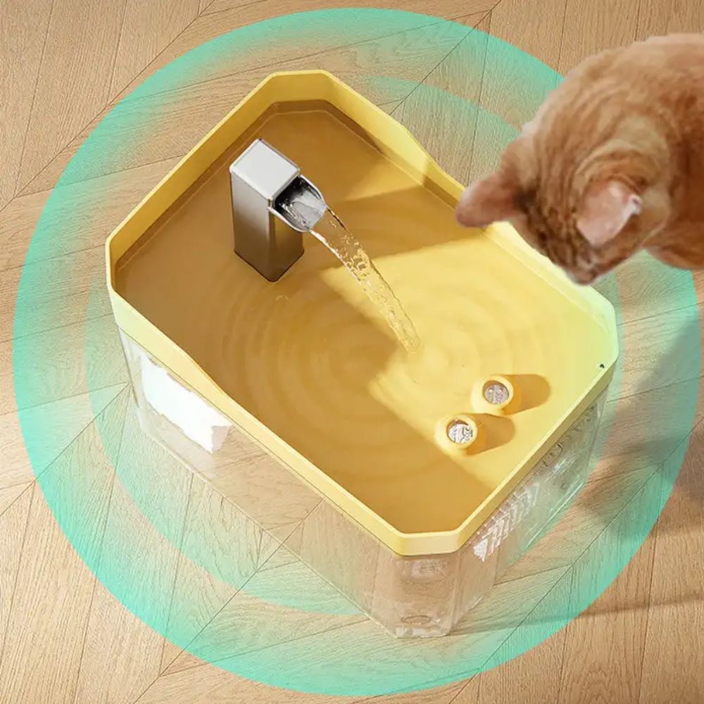 Distributeur d'eau pour animaux