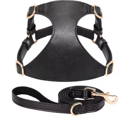 Harnais pour chien en cuir PU et Laisse