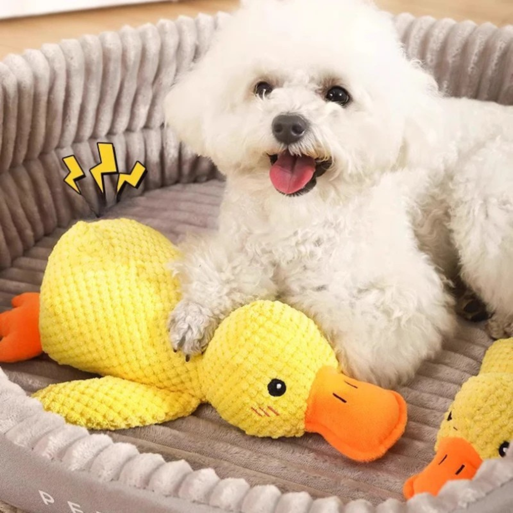 Jouets en peluche Canard Calmant pour chien