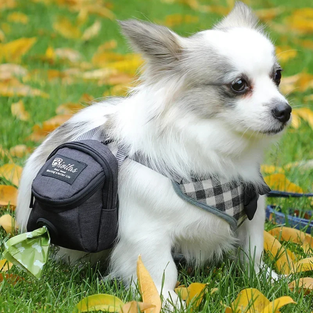Sac de taille pour l'entraînement des animaux de compagnie en extérieur