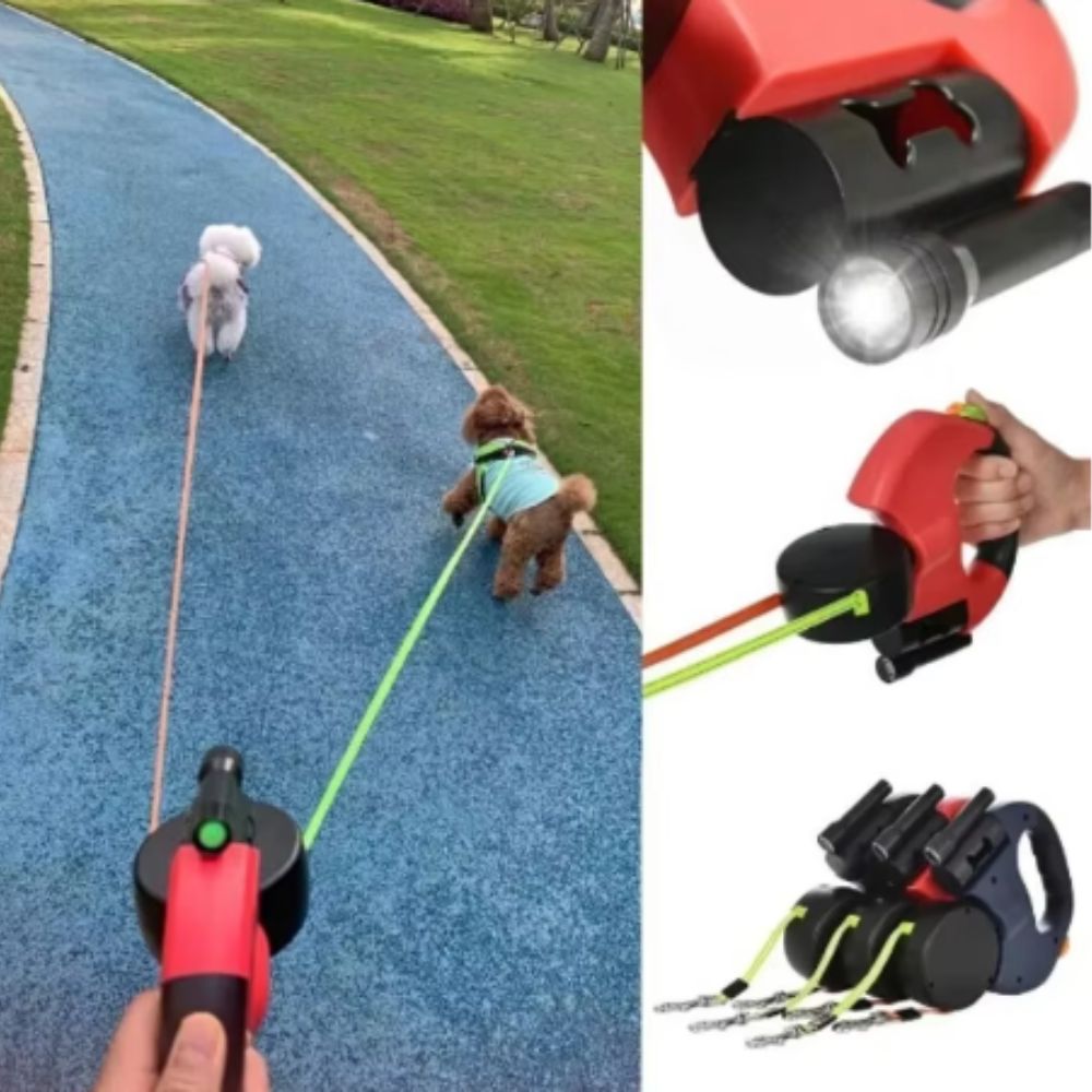 Laisse de promenade pour chien double avec lumières