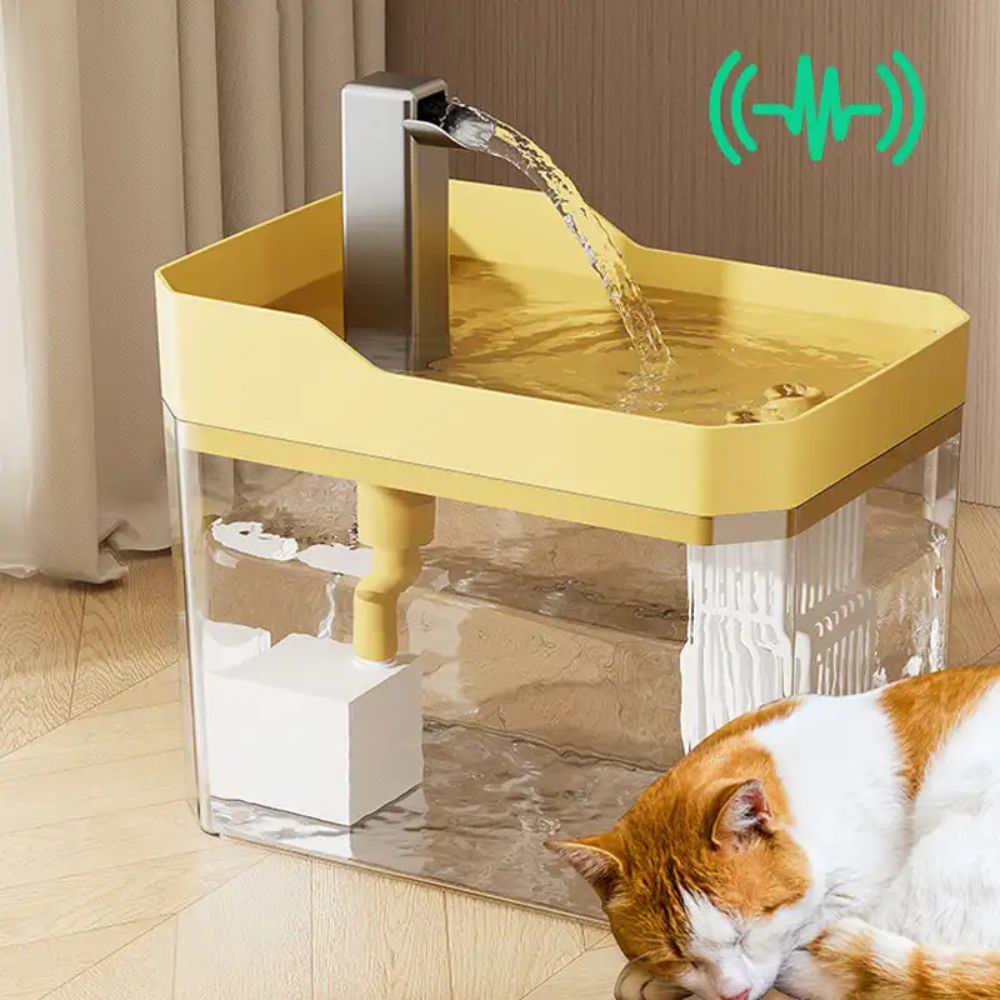 Distributeur d'eau pour animaux