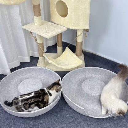 Maison pour chatons Pet Tunnel