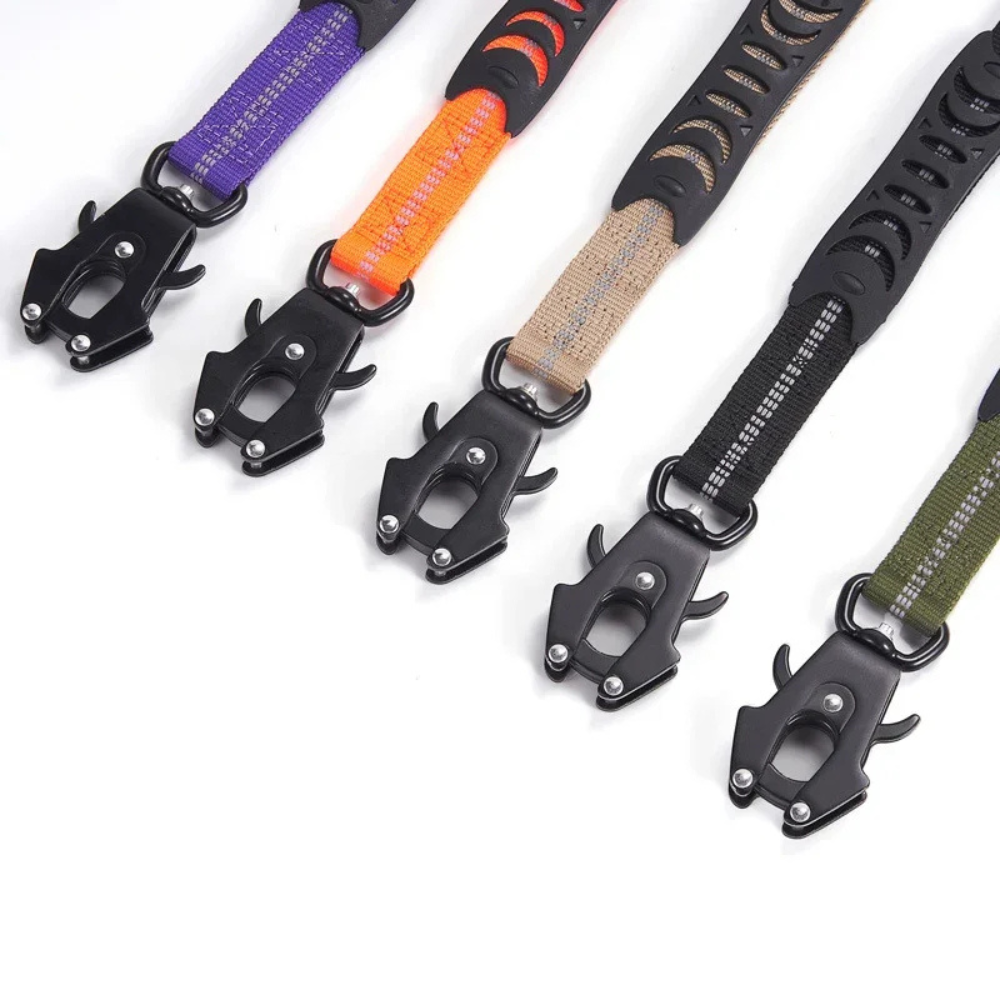 Collier Militaire Tactique pour Chien