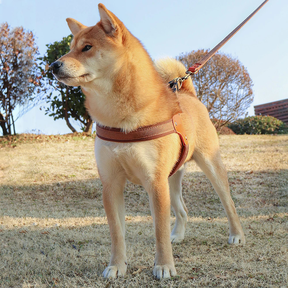 Harnais réglable pour chien