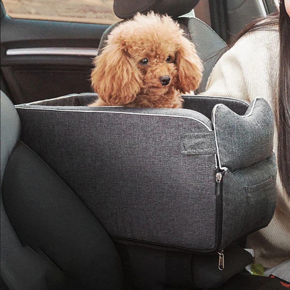 Sac de voyage pour chien