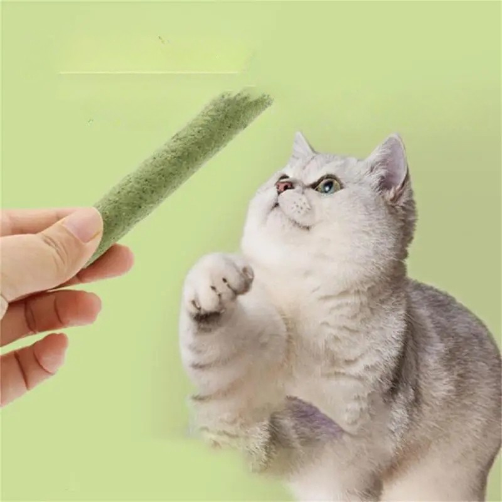 Bâtons à mâcher Natural Cats Grass