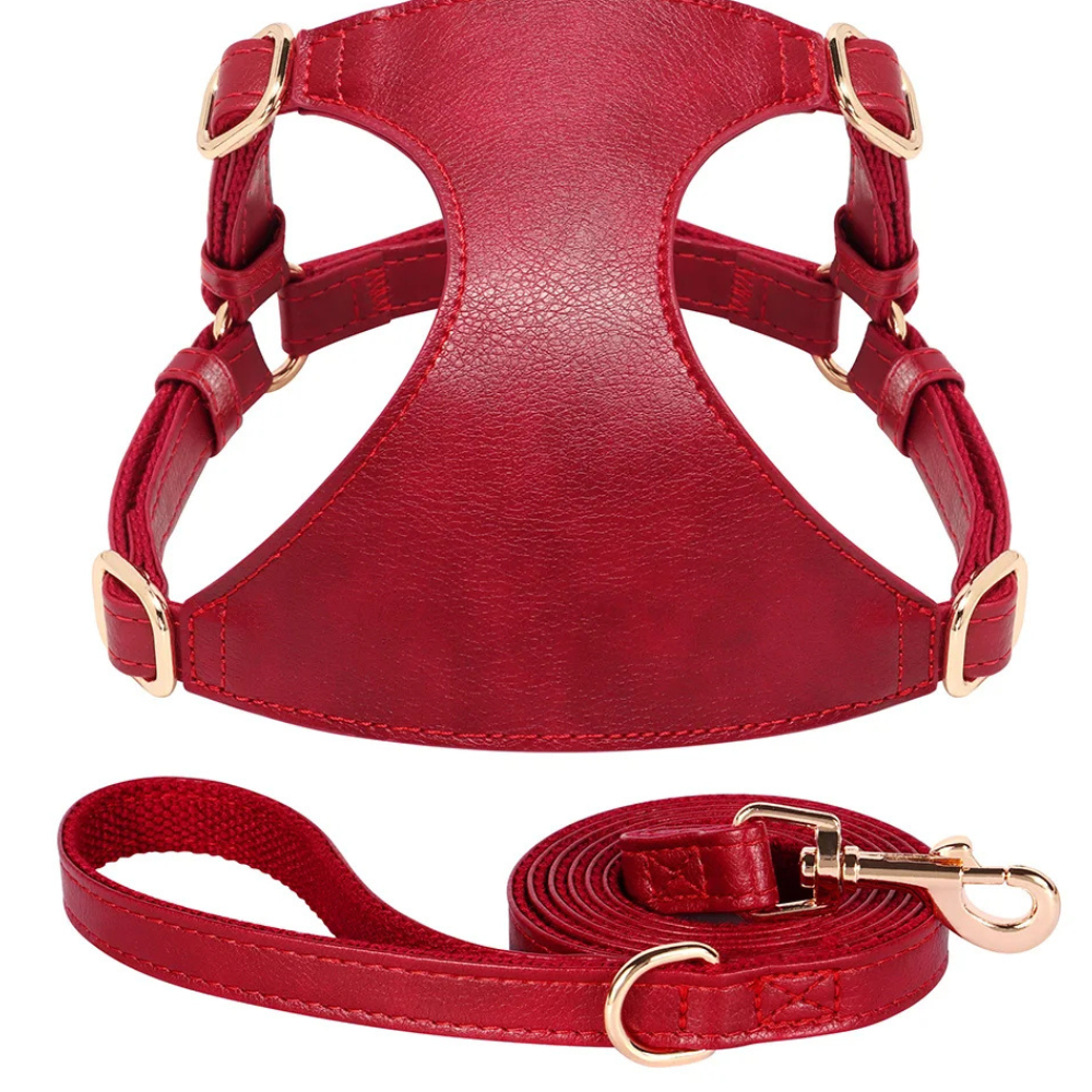 Harnais pour chien en cuir PU et Laisse